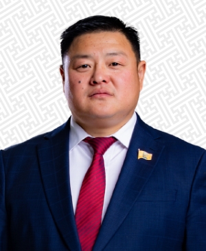 Б. БАТТУЛГА