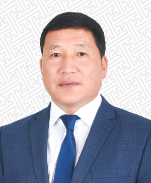 Д. ИДЭРЗАЯА